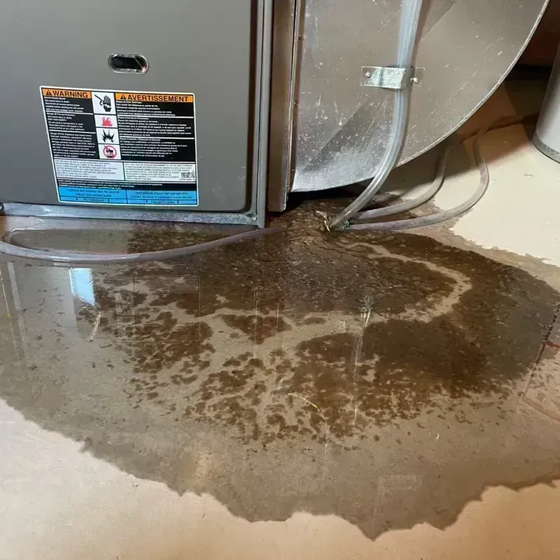 Appliance Leak Cleanup in Owensville, MO